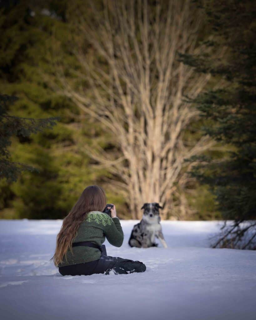 Kvinne tar bilder av hund i snødekt vinterlandskap med store trær.