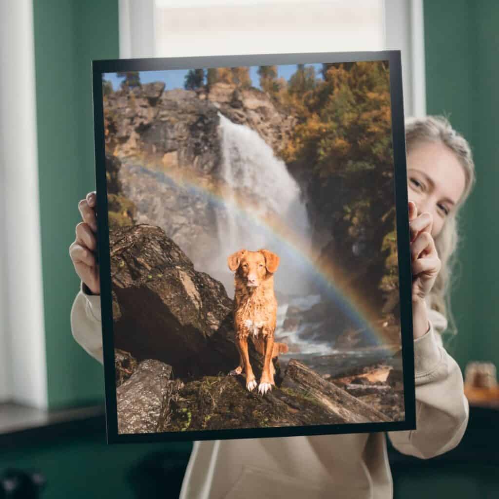 Hund foran vannfall med regnbue i bakgrunnen, naturfoto.