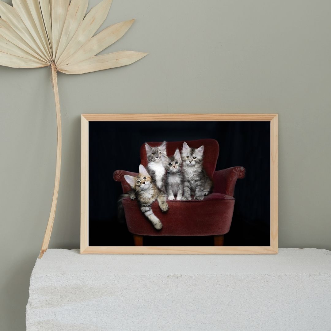 kittens_mockup