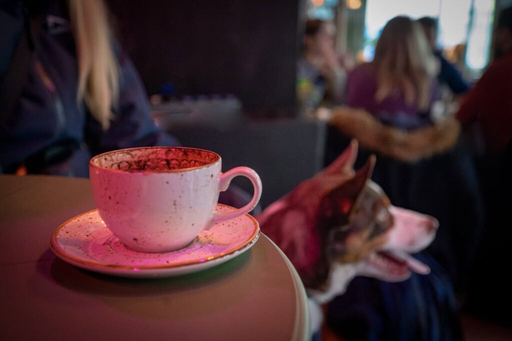 Kopp og fat med kaffe på kafé, med hund i bakgrunnen.