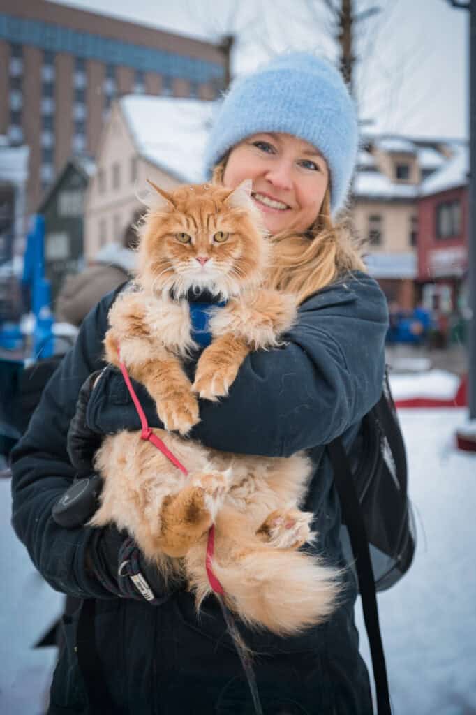 Glad kvinne holder en stor, fluffy oransje katt i snøen.