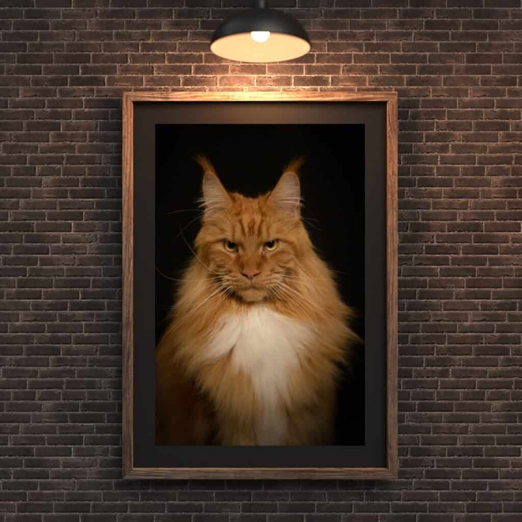 framed portrait of ginger cat on brick wall