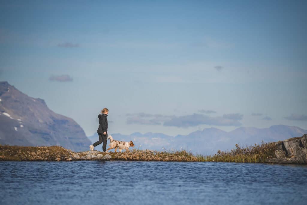 Fjelltur med hund langs innsjø i norsk fjellandskap.