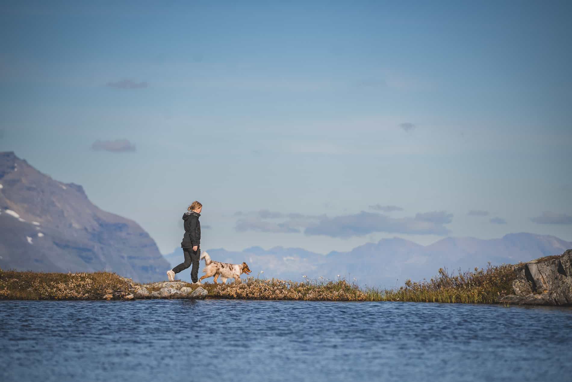 Fjelltur med hund langs innsjø i norsk fjellandskap.
