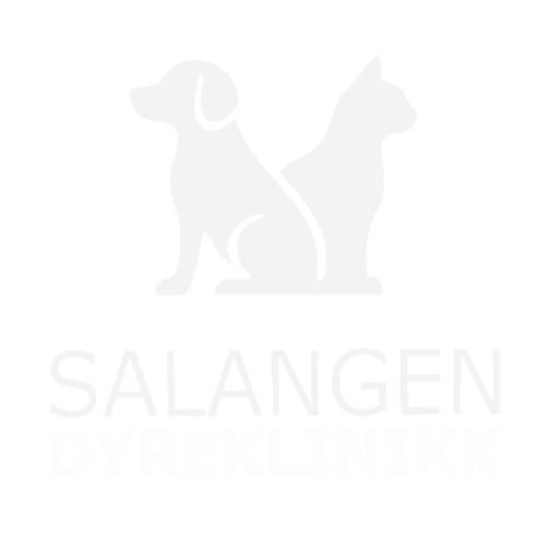 Familiefoto med barn og foreldre under familiefotografering.