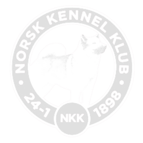 Familiefotografering med barn og foreldre utendørs.