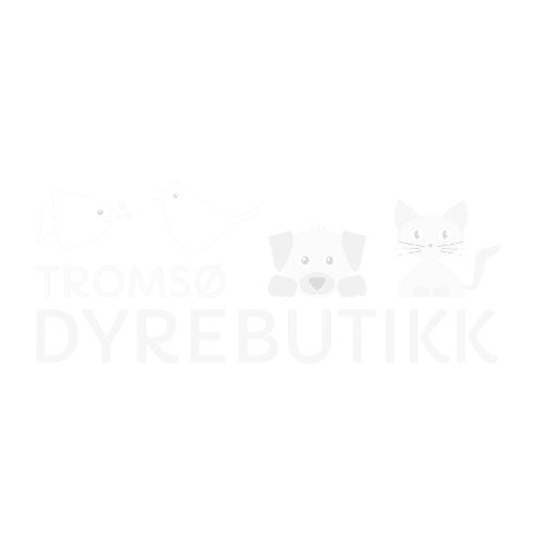 Familiefotografering i Tromsø med fokus på kjærlighet og samhold. Perfekt for å forevige spesielle ø.