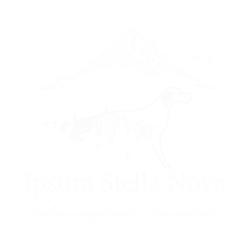 Familie fotografert utendørs med fjell og skog i bakgrunnen.