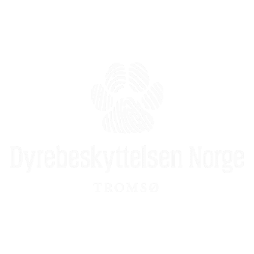 Familie som tar bilder utendørs under familiefotografering i vakker natur.