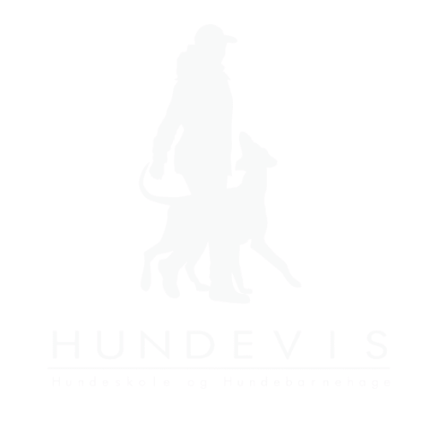 Familiefotografering med hunder – skape minner i naturlige omgivelser.