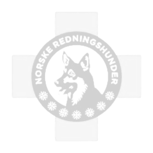 Familiefotografering med smilende familie i utendørs omgivelser.