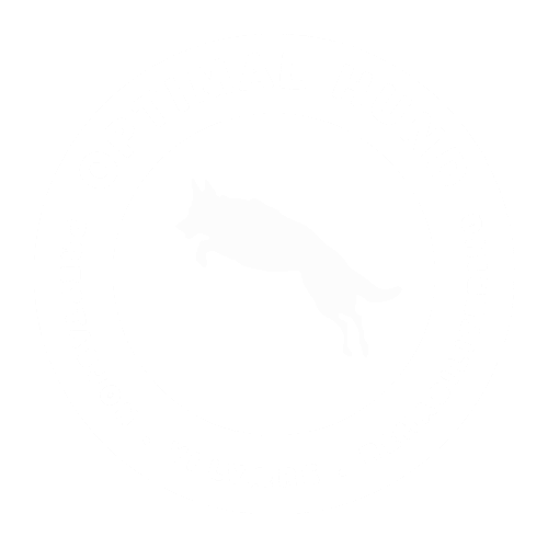 Familiefotografering med fokus på glede og samhold, tatt utendørs for å fange ekte øyeblikk.