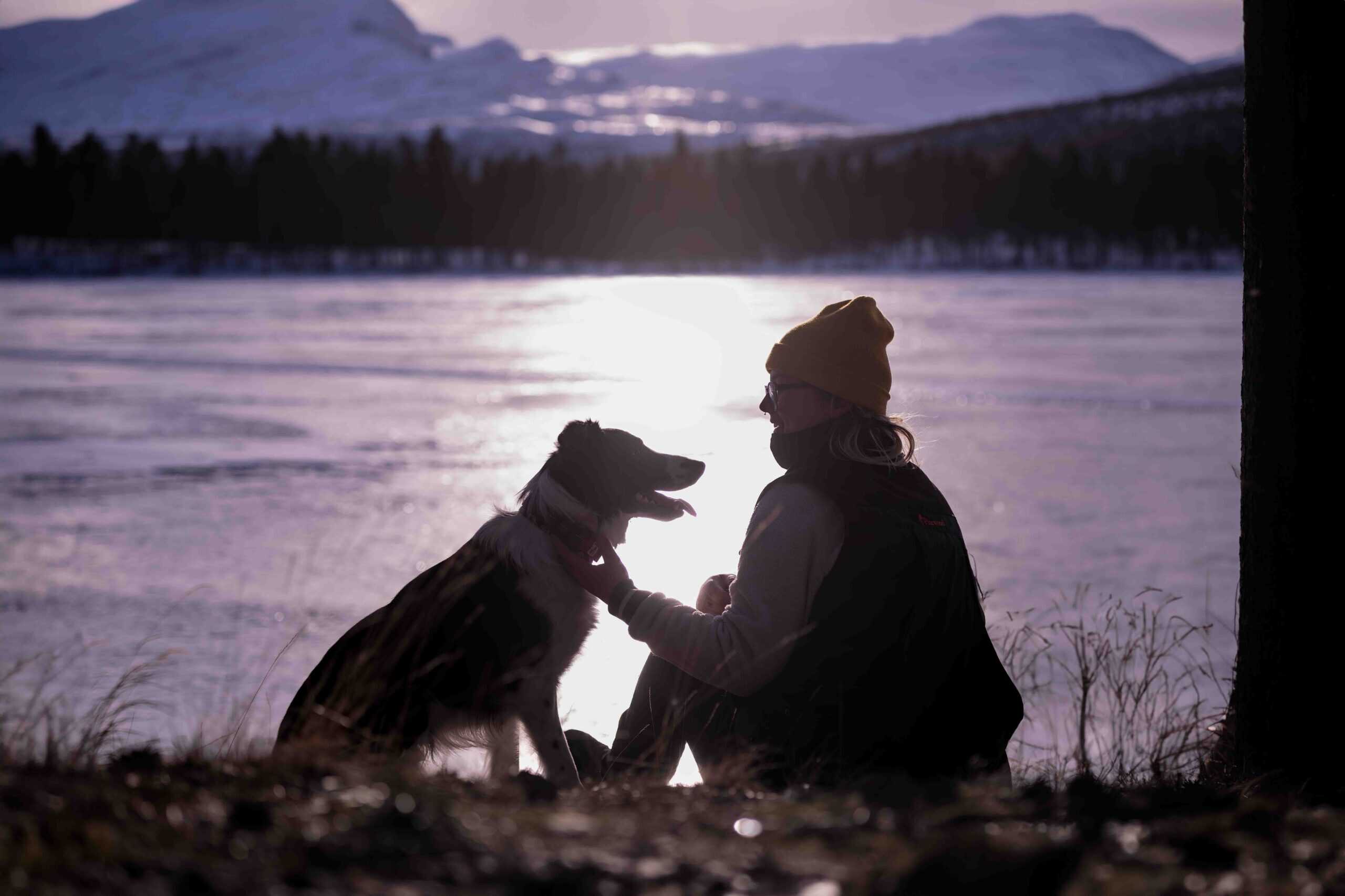 Familiefotografering med hund ved innsjøen i solnedgang.