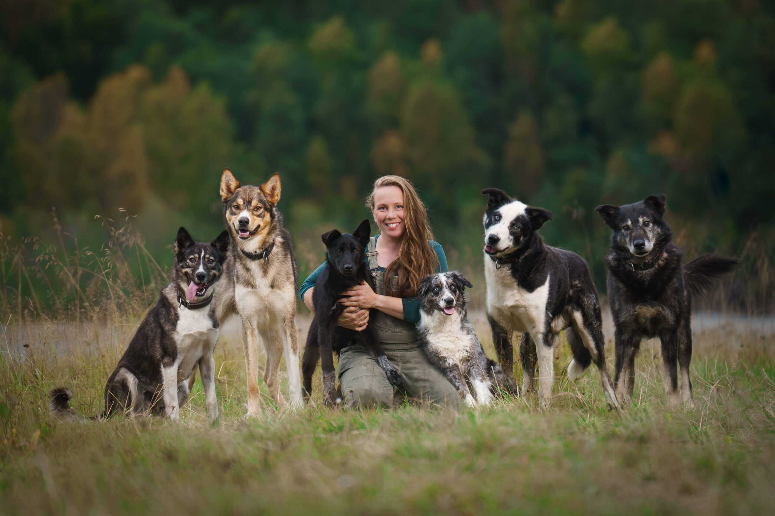 Hundegjeng med eier i naturen, alle hundene ser glade ut og er i en grønn, skogkledd bakgrunn.