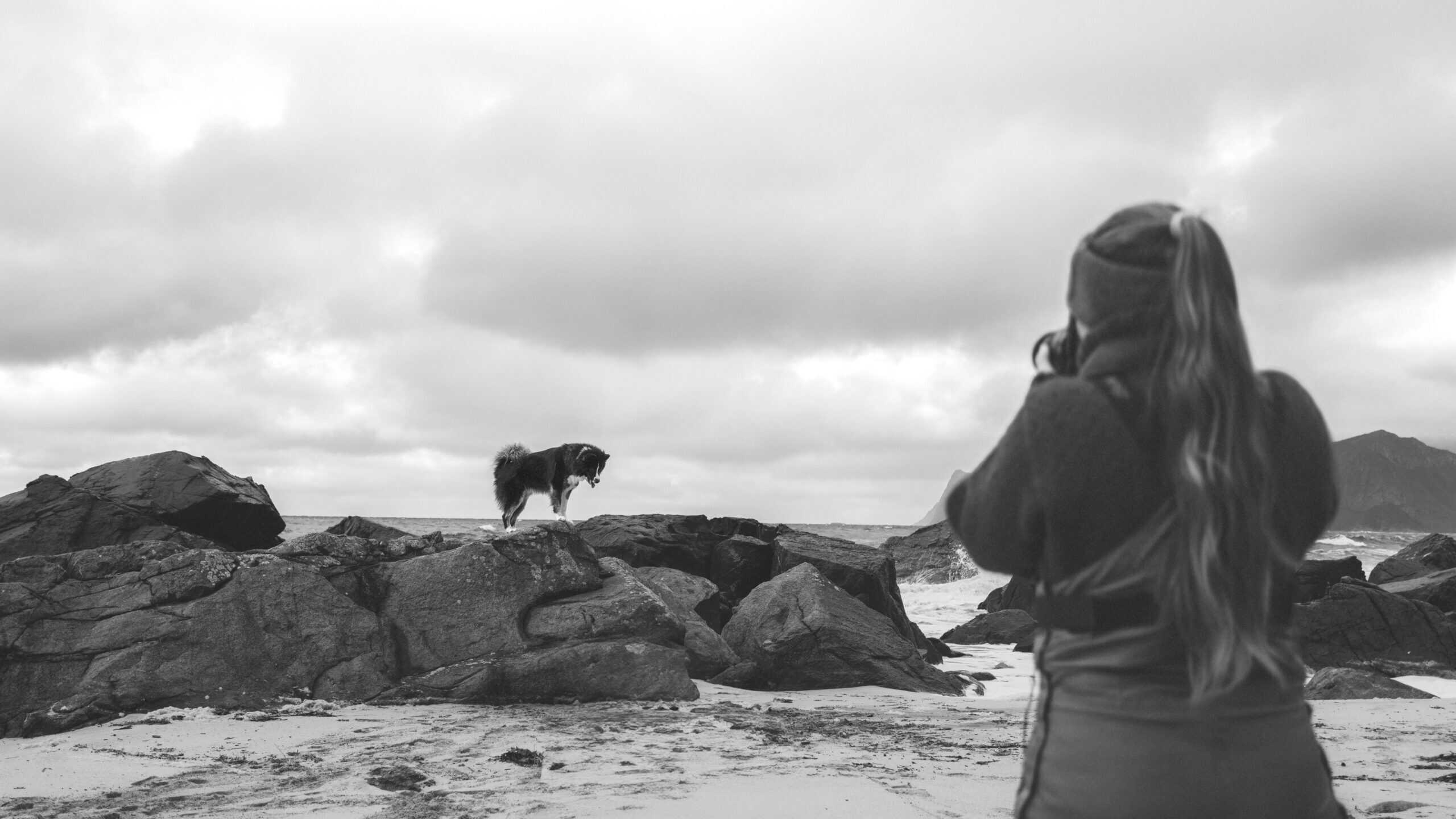 Person som tar bilde av hunden sin på en stein ved sjøen under overskyet vær.